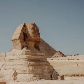 WhatsApp Image 2025-06-20 at 7.18.46 PM